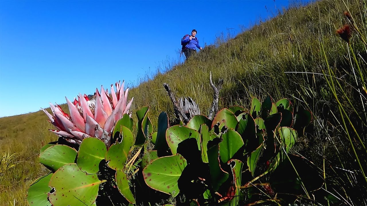 The Boland Hiking Trail-Nuweberg to Landroskop