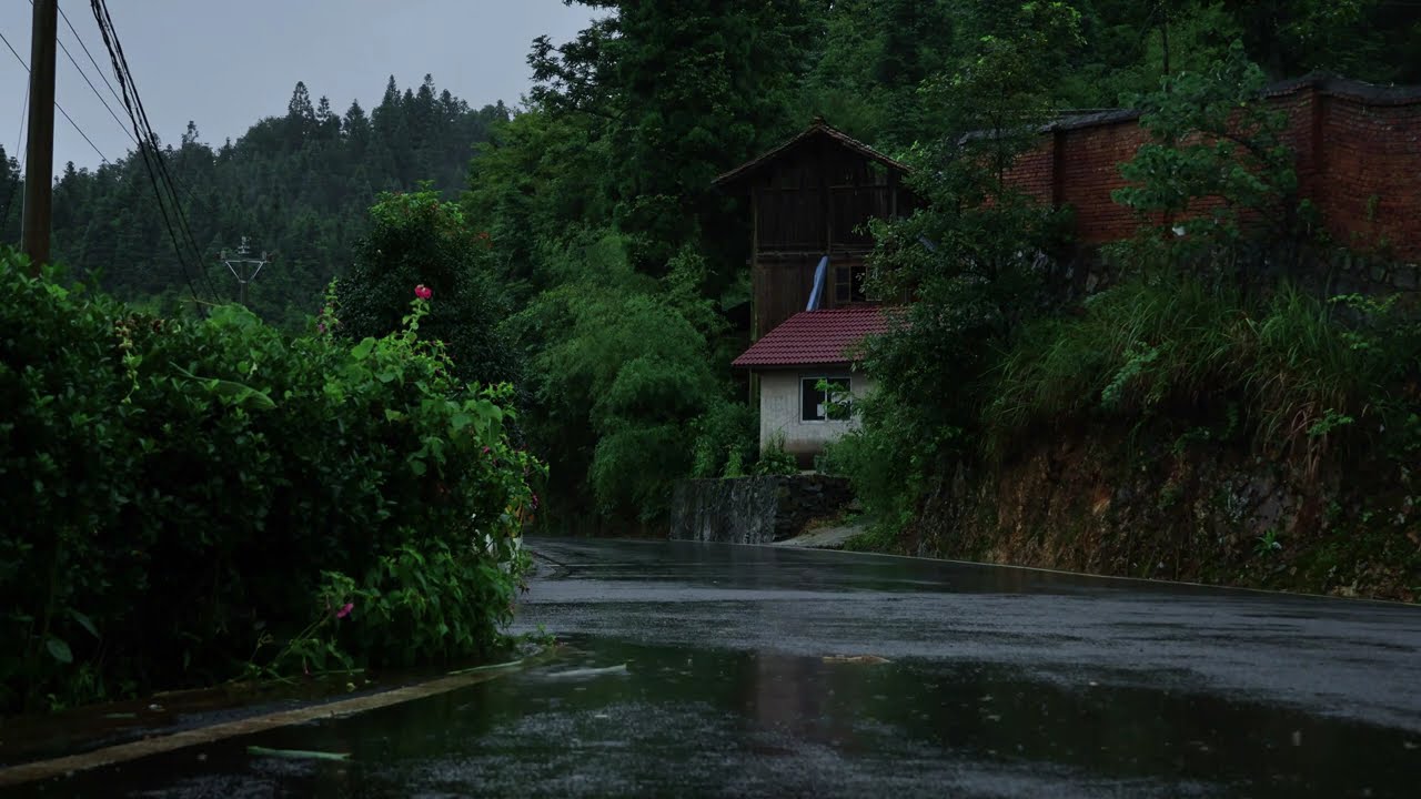 Soothing Rain Sounds on a Quiet Road | Misty Forest & Village ASMR | Deep Sleep