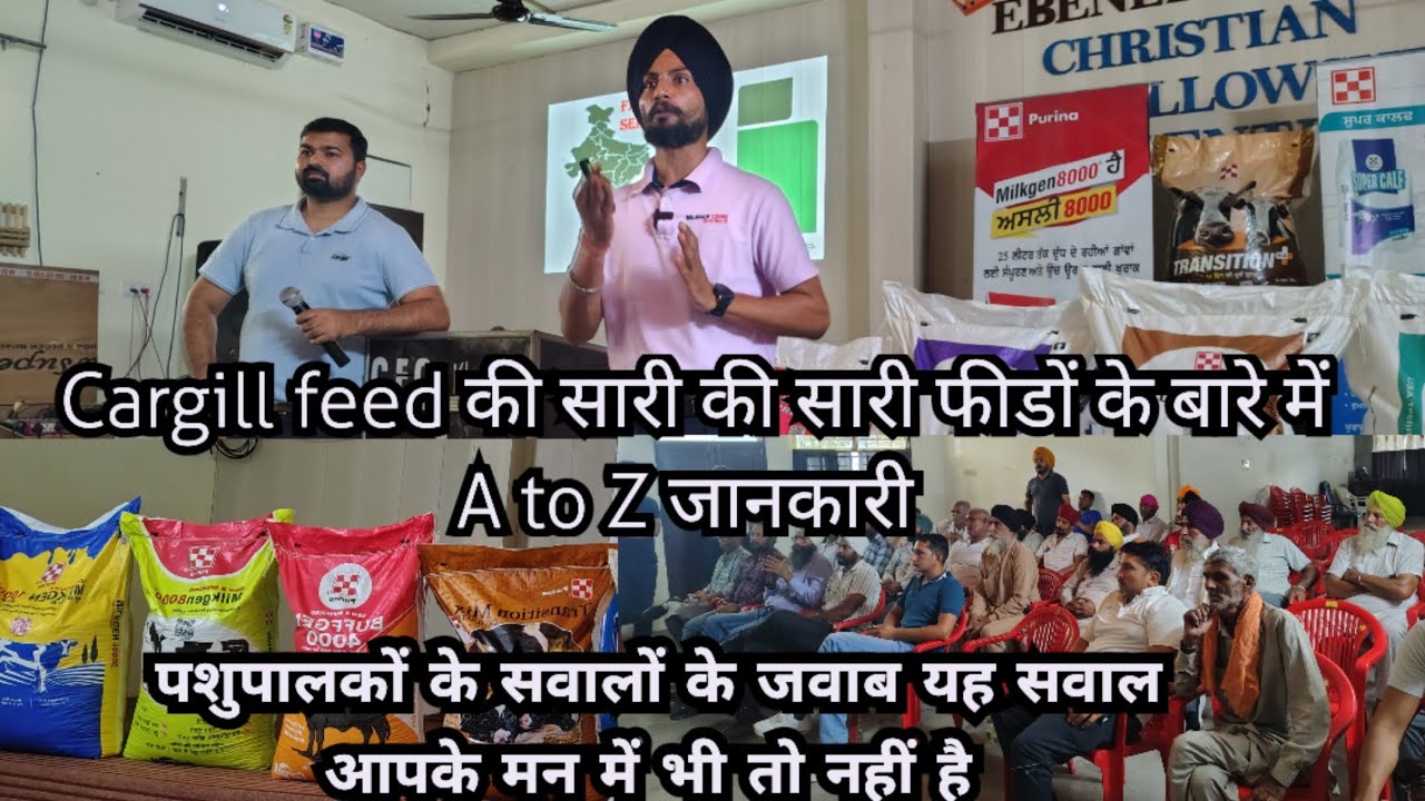Cargill feed की सभी प्रकार की फ़ीड की संपूर्ण जानकारी कौन सी फीड कब देनी चाहिए #Cargillfeed