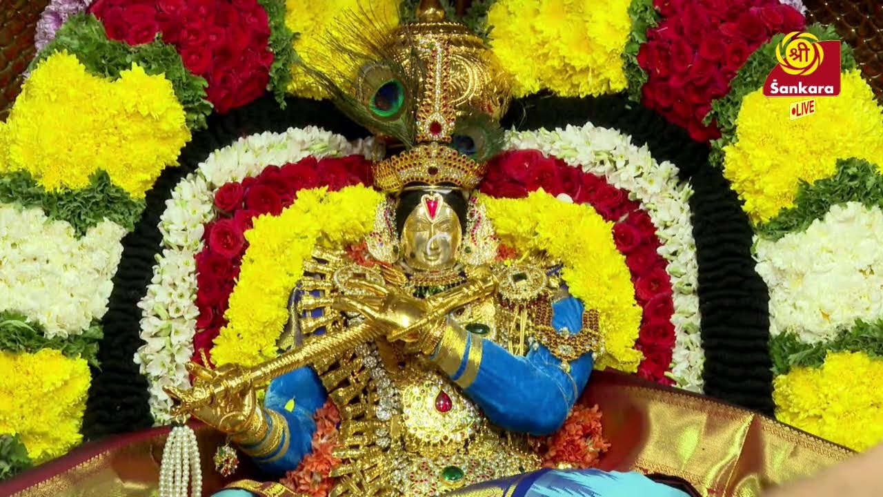LIVE CHENNAI TTD PAT BRAHMOTSAVAM
