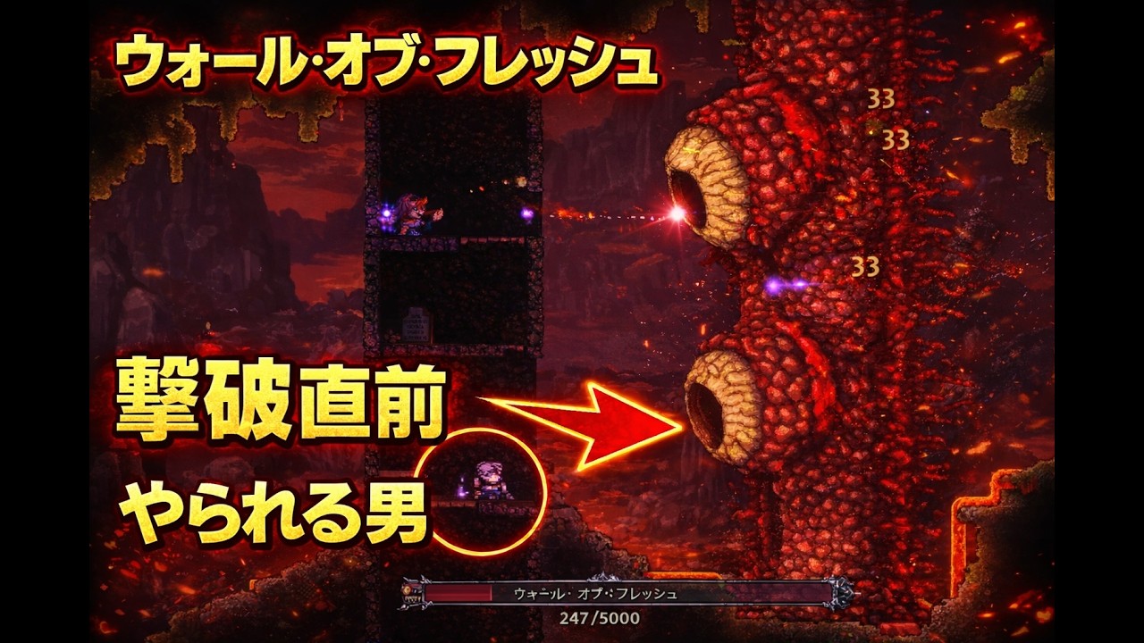 【テラリア】ウォールオブフレッシュ撃破直前の悲劇