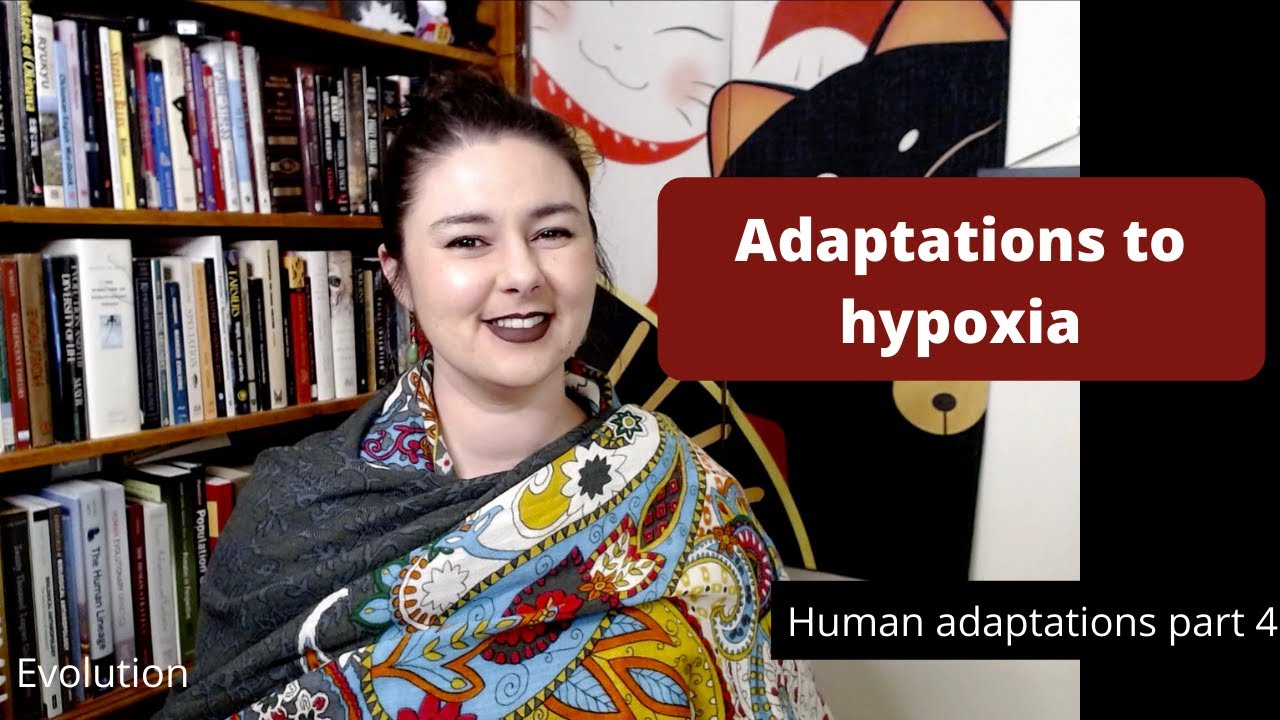 Adaptations to hypoxia