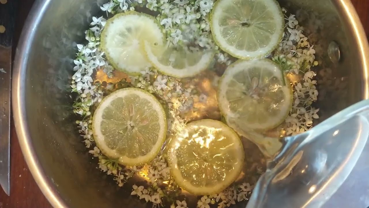 Cómo preparar jarabe de flores de sauco