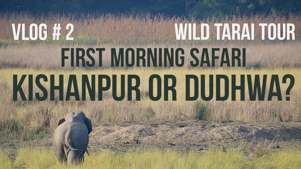 Kishanpur or Dudhwa safari? The twist in plan | Elephant sighting | Dudhwa Tiger Reserve
