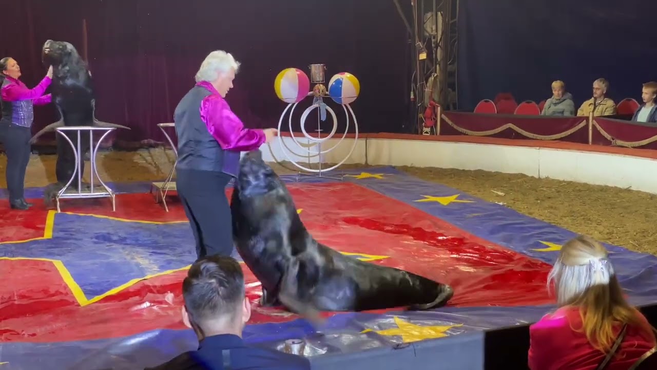 Besuch am 23.09.2023 im Circus BEROLINA
