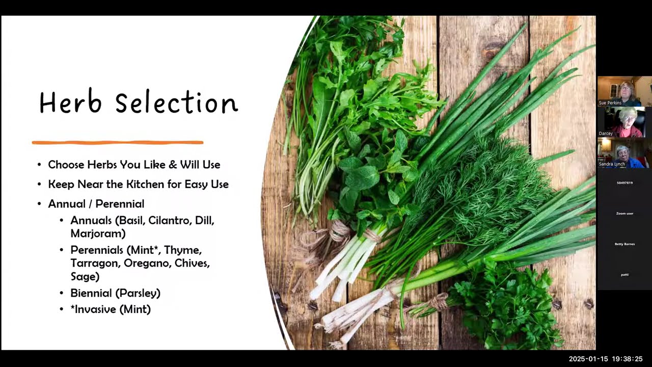 Creating A Fresh Herb Garden