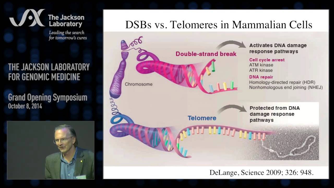 Jack Szostak – Telomeres to Protocells