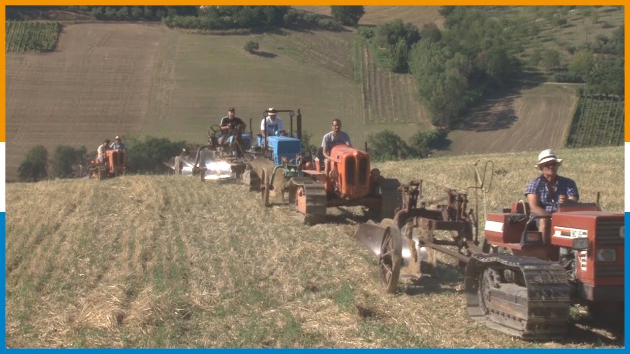 MORROVALLE: ACCIARRINI AGROMECCANICA ARATURA E FALCIATURA D'ALTRI TEMPI 30 07 22
