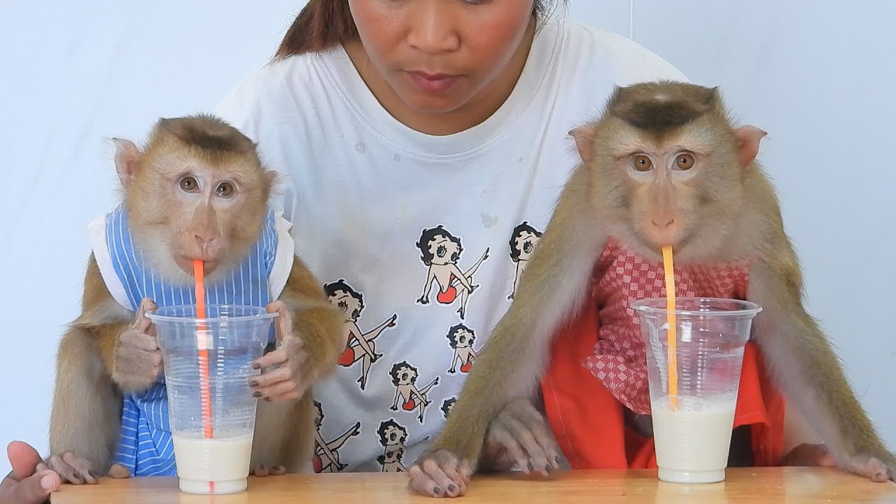 Cute Little OLLY & LUNA Drinking Soy Bean Milk