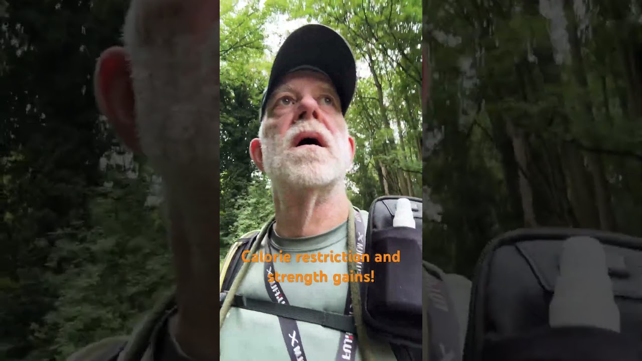 Calorie restriction and strength gains !