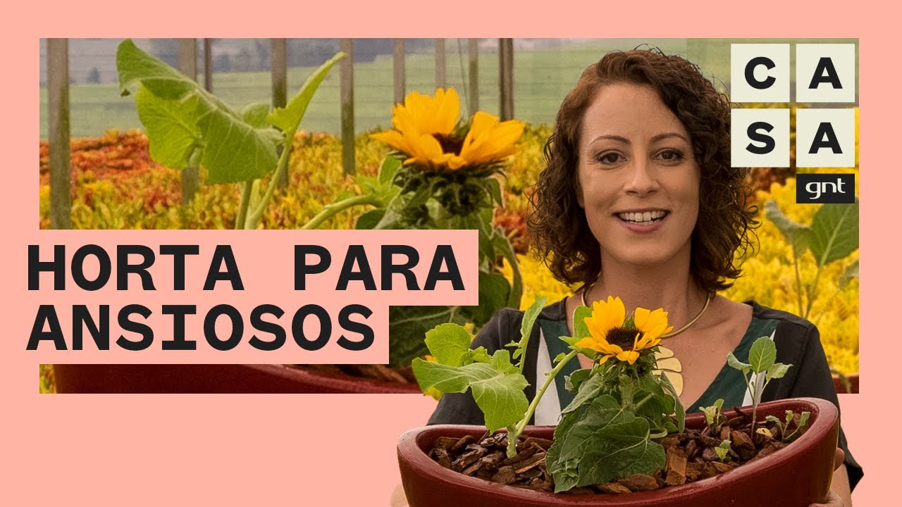 🥦 HORTA PARA COLHER RÁPIDO: como plantar a partir de MUDAS | Plante Você Mesmo | Carol Costa