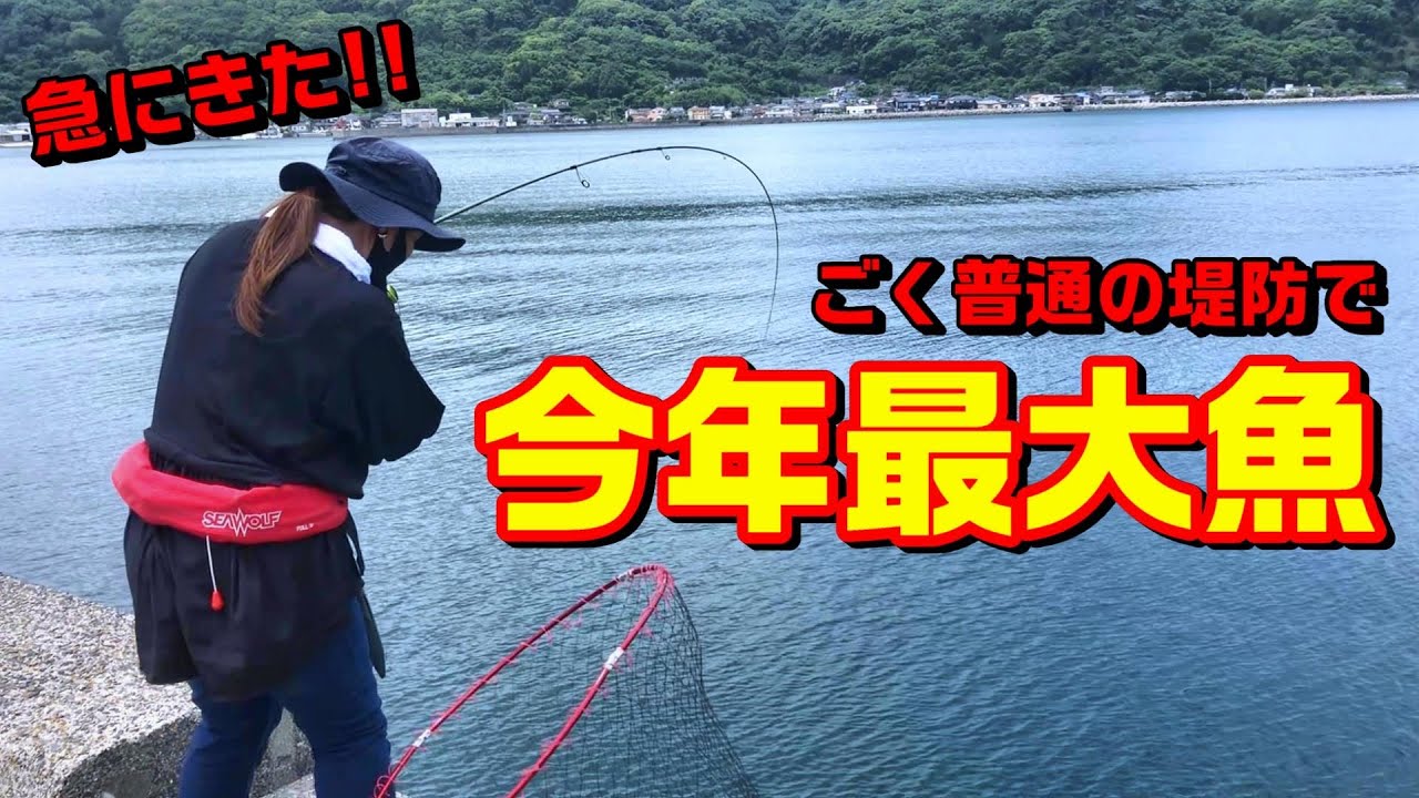 ごく普通の堤防でダイソールアーを投げたら嫁今年最大の大物‼︎