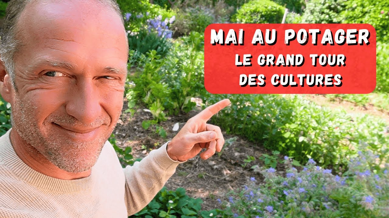 Mai au potager ► Cultures, semis, plantations, limaces, joies et galères... #potager saison 2025