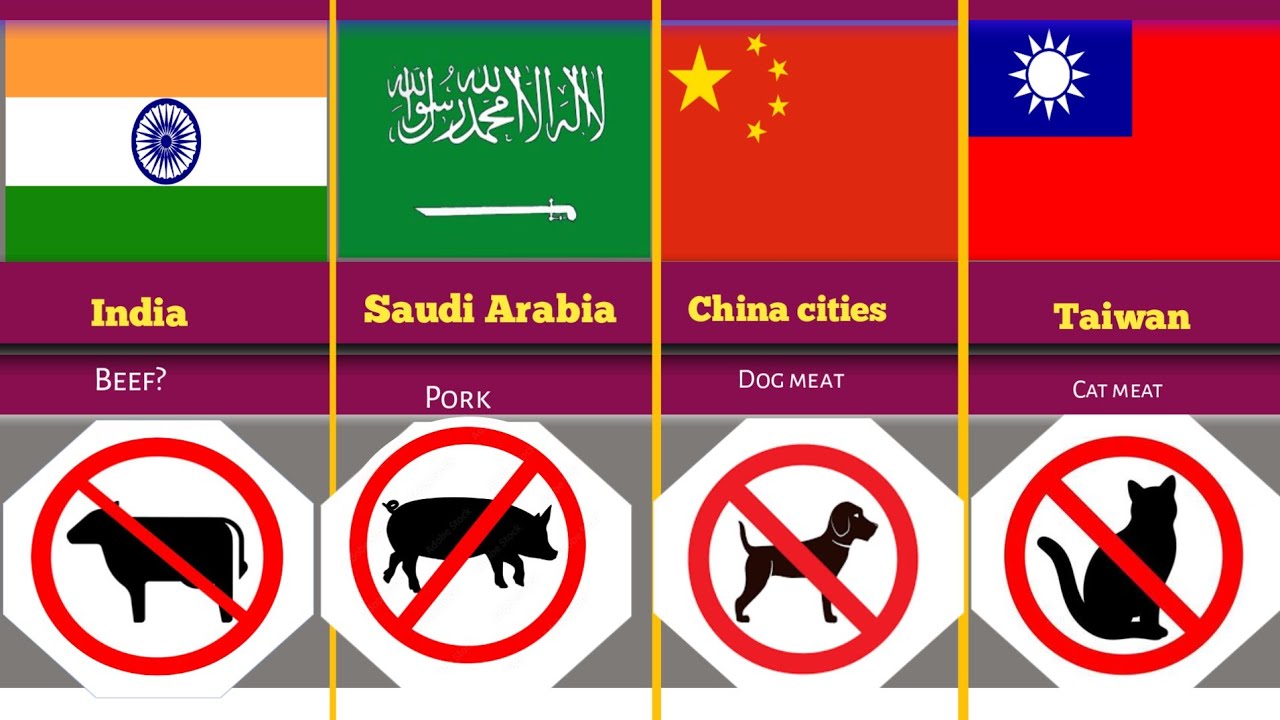 Countries & Things That Are BANNED |Shocking | Laws Around the World 🌍⊘