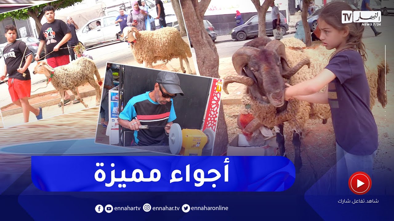 عيد الأضحى في الأحياء الشعبية.. أجواء إستثنائية ونكهة خاصة والعينة من باب الواد