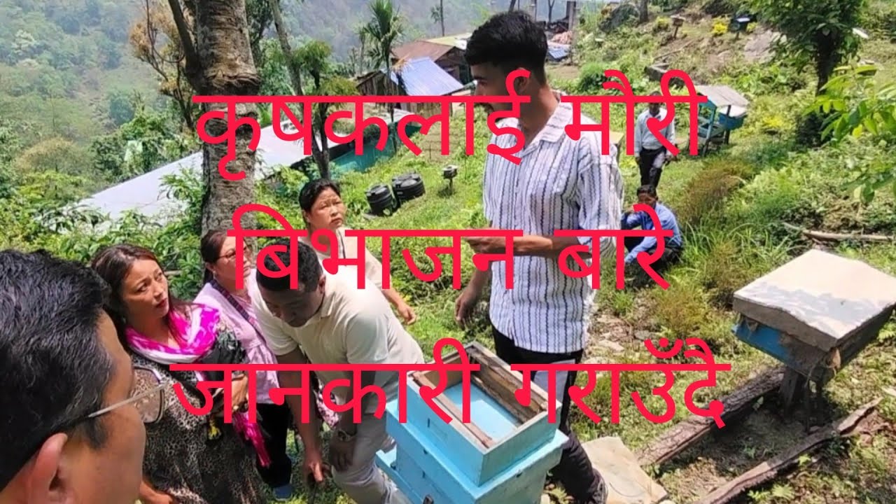 कृषकलाई मौरी बिभाजन बारे जानकारी गराउँदै