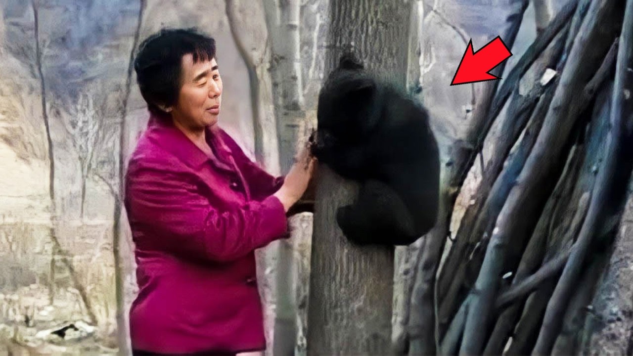 子グマを拾って15年。成長したツキノワグマの恩返しに胸が震える【感動】