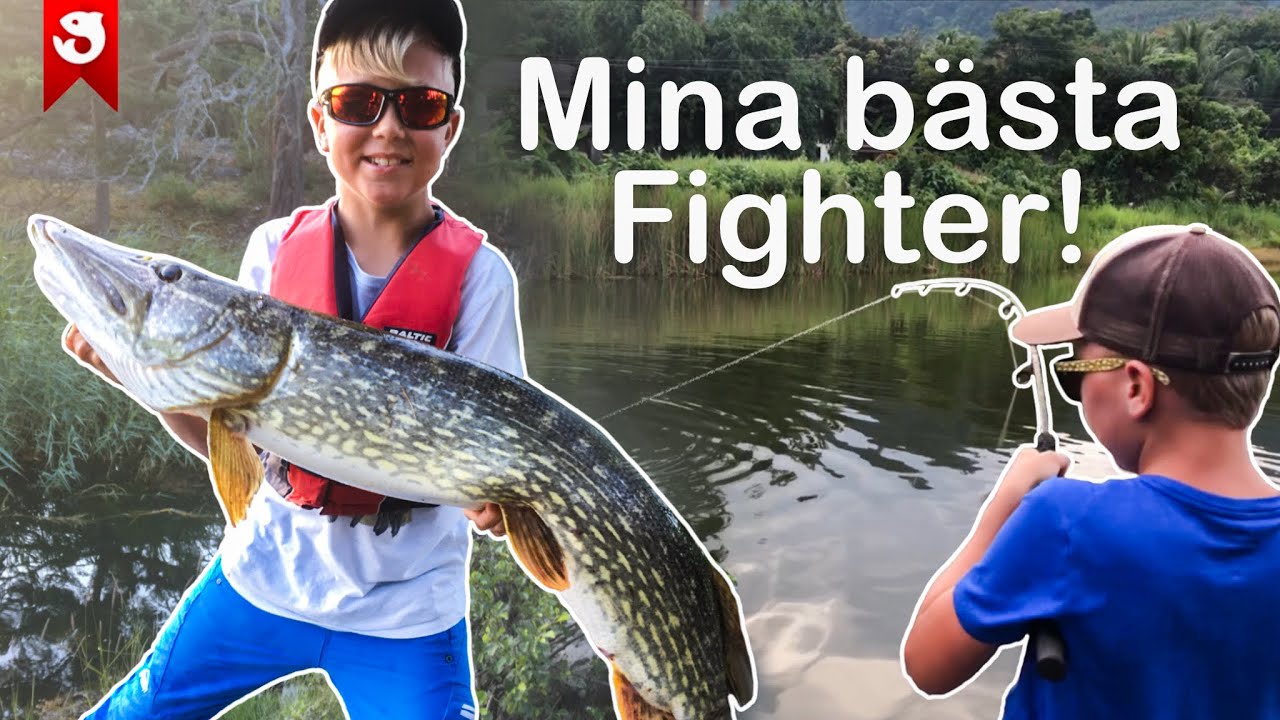Mina BÄSTA FIGHTER med FISK!