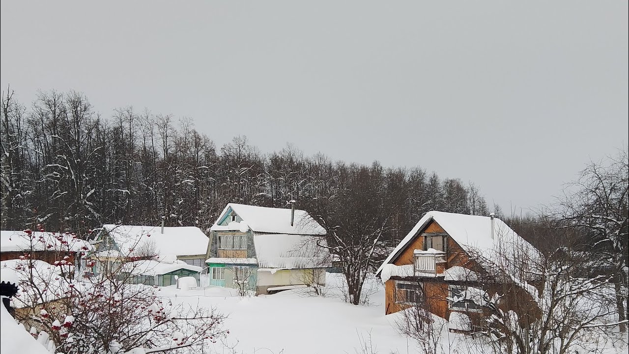 Стрим 31.01.26