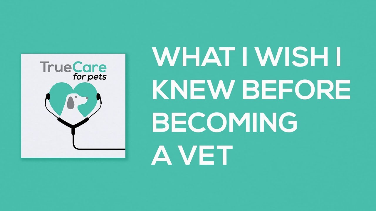 What I Wish I Knew Before Becoming a Vet - TrueCare for Pets Pawcast