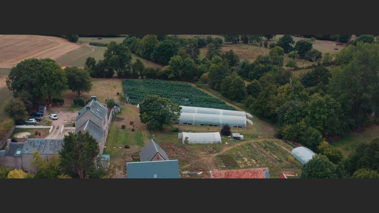 OGreenLab Producteur de CBD en Normandie