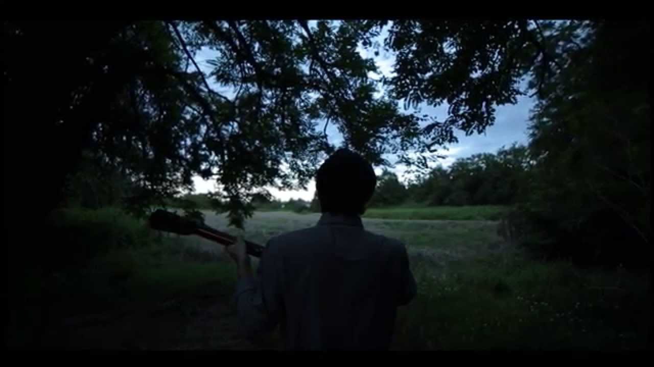Simone Olivieri - Fiori e fauna