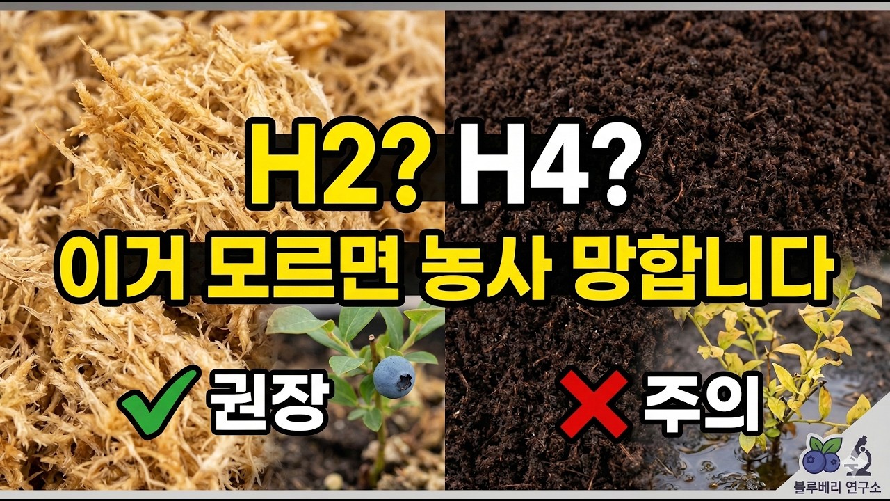피트모스 H2? H4? 이거 모르면 블루베리 나무 절반은 죽이고 시작하는 겁니다.