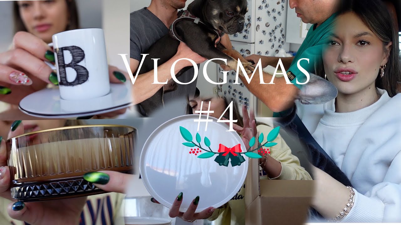 İNDİRİMDEN EV İÇİN ALDIKLARIM I Yeni Yemek Takımım, Yedeklediklerim, Veterinere Gidiyoruz #vlogmas 4