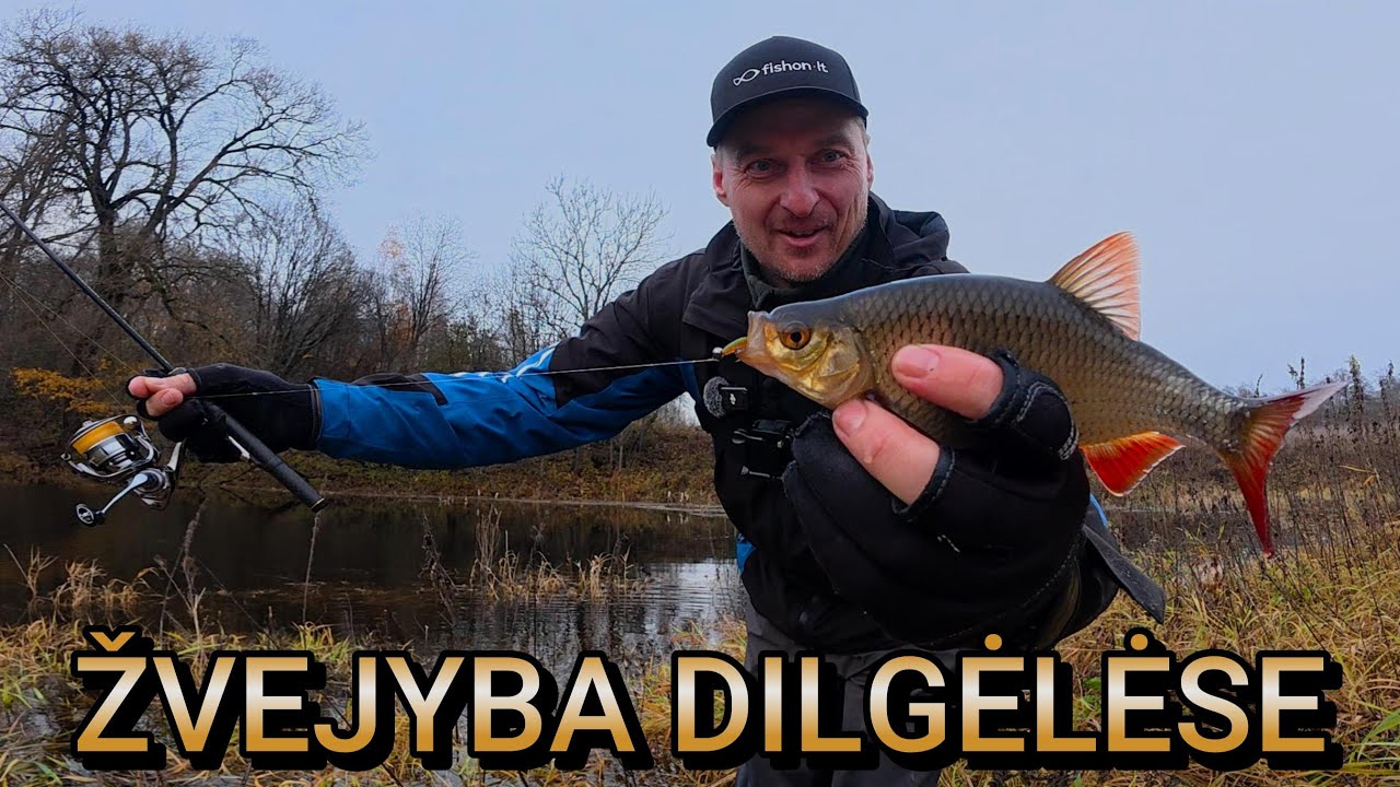 To dar nebuvo ! Žvejoju dilgėlėse! Avižadrebis vėlyvą rudenį