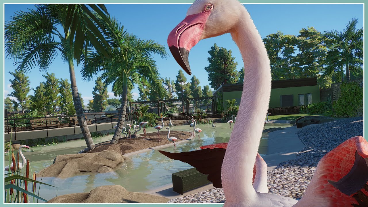 Greater Flamingo Habitat! | River Rock Zoo Remodel | Planet Zoo Speed Build