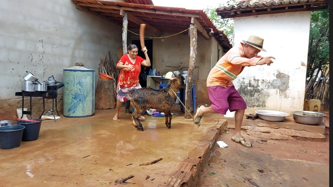 bastidores!! Seu Mané achou o bode 🐐 🐐 🐐 Juvenal em uma carteira!!