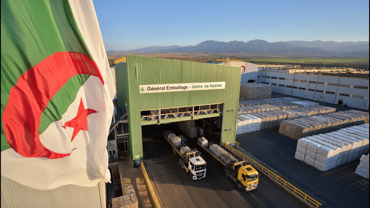 L'Algérie lance une MÉGA usine de papier à Naâma : 250 millions $ d'économies