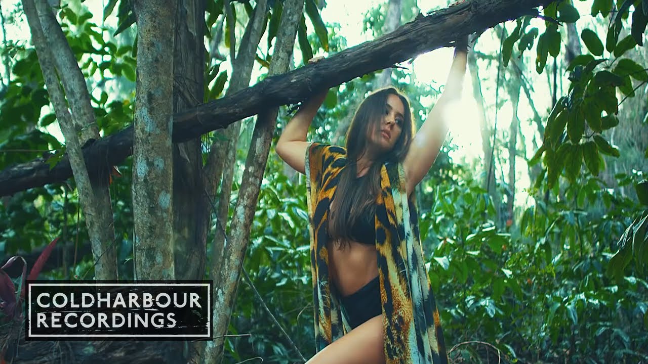 Andy Moor & @Adina-Butar - Wild Dream | Official Music Video