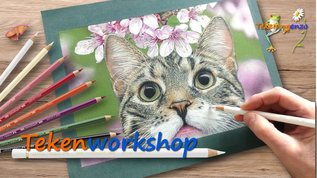 Tekenworkshop ´Kareltje in de Kersembloesem´ - TRAILER