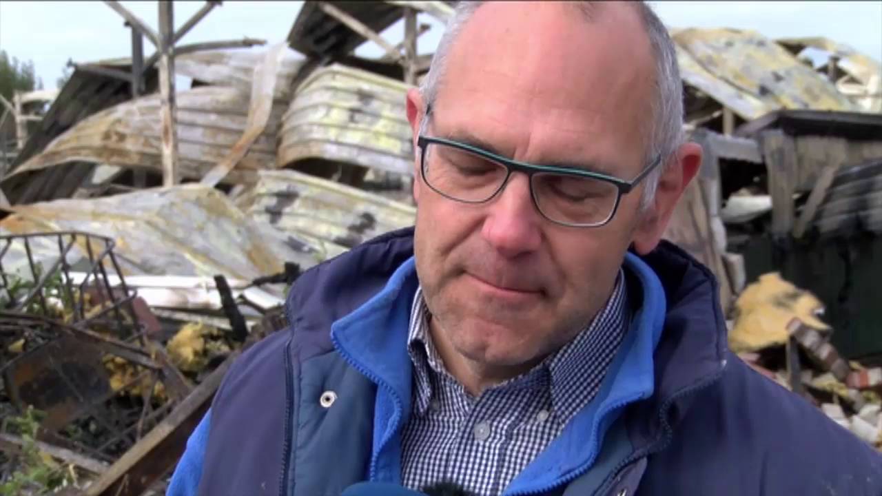 Pluimveehouder afgebrande kippenschuur Waddinxveen: ‘Ik heb een potje zitten janken’