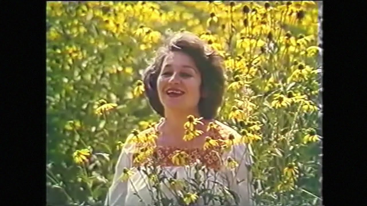 Росинка - Журавлі