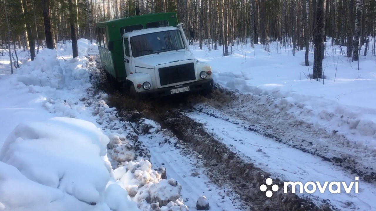Дорога в новую делянку. ТдТ-55. Газ-3308.