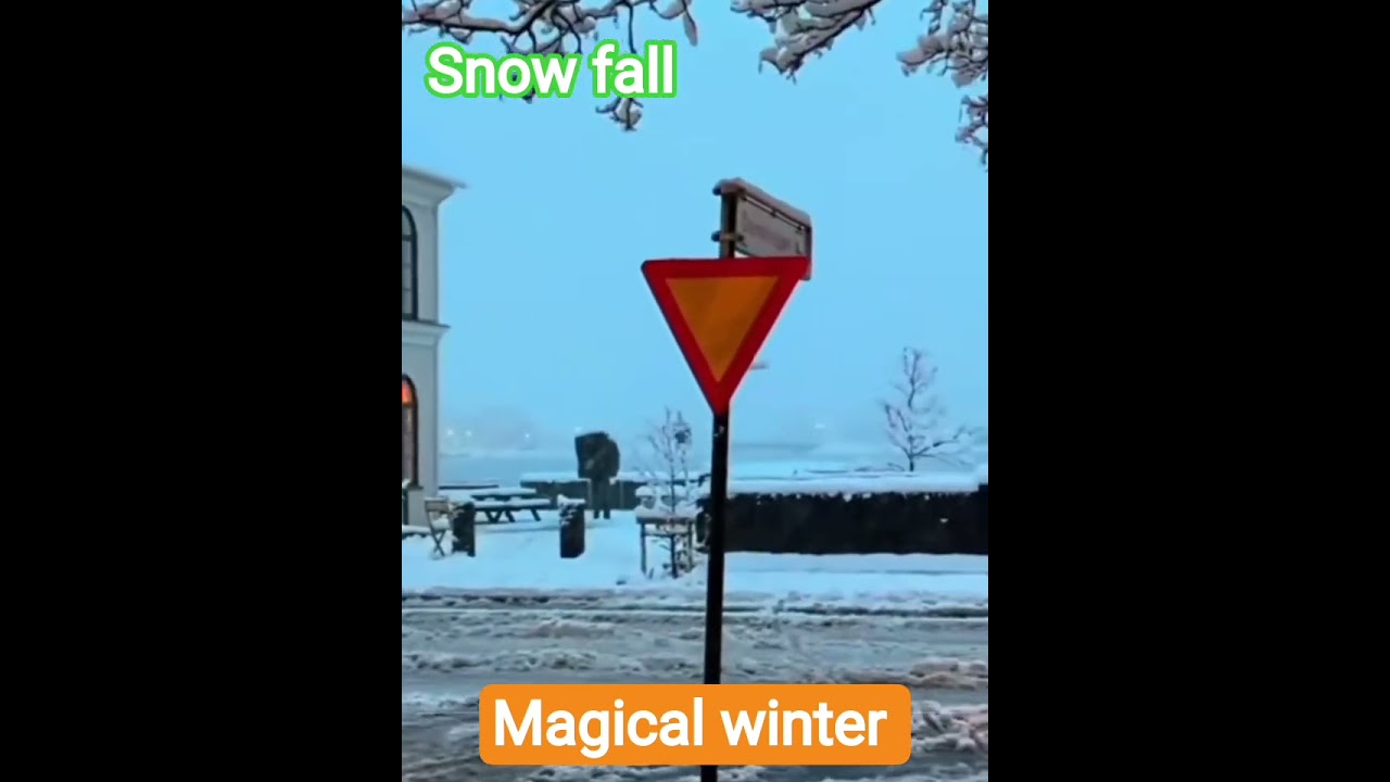 magical winter ❄️ 