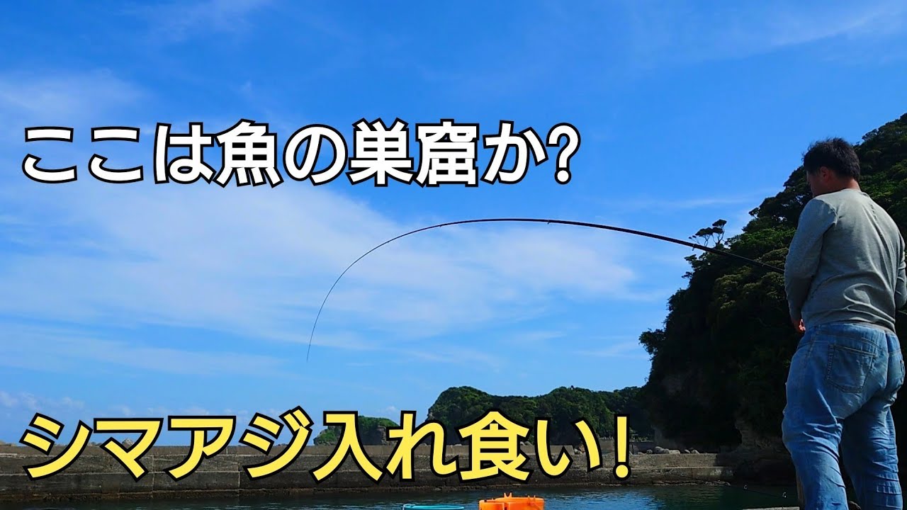 他に釣り人が誰もいない静かな漁港で釣りを開始してから終わりまでシマアジのアタリが止まらない!まさかの7目達成！