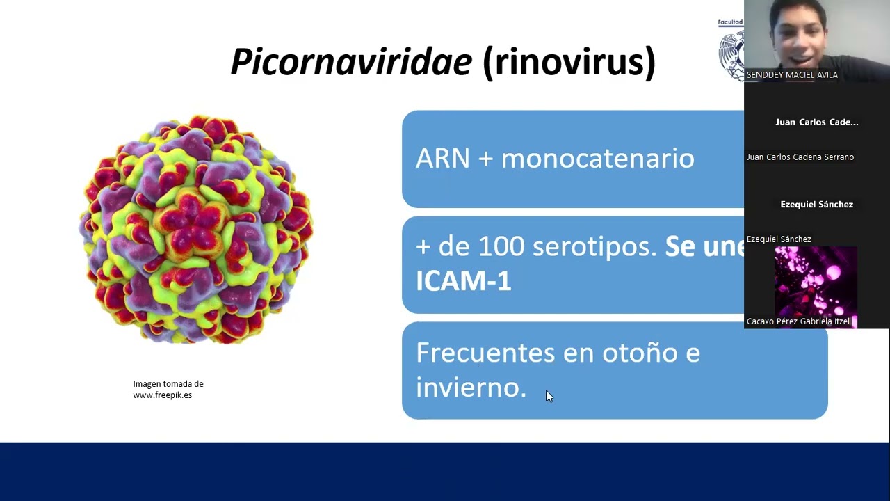Repaso de virolog&iacute;a 2022