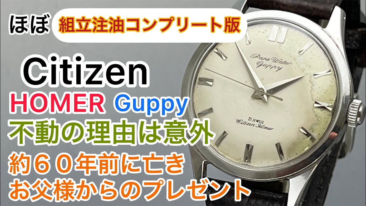 Citizen HOMER Guppy The reason for the immobility is surprising. A gift from your late father.