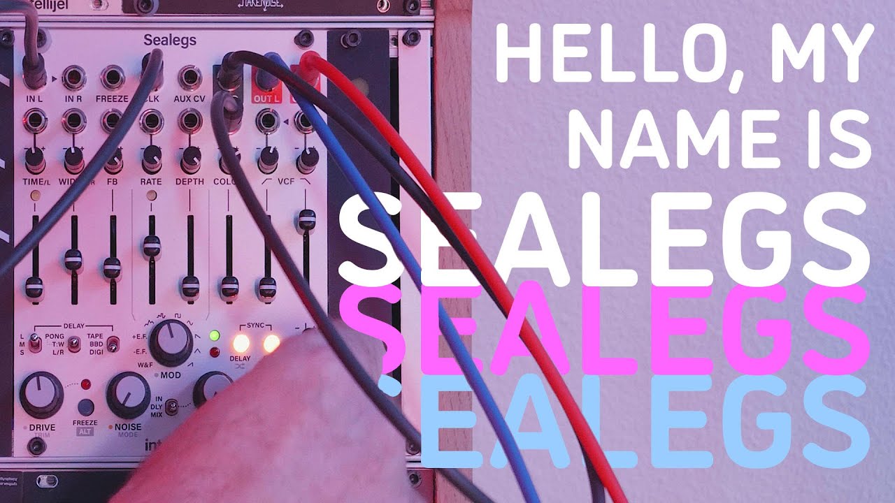 This is Intellijel Sealegs