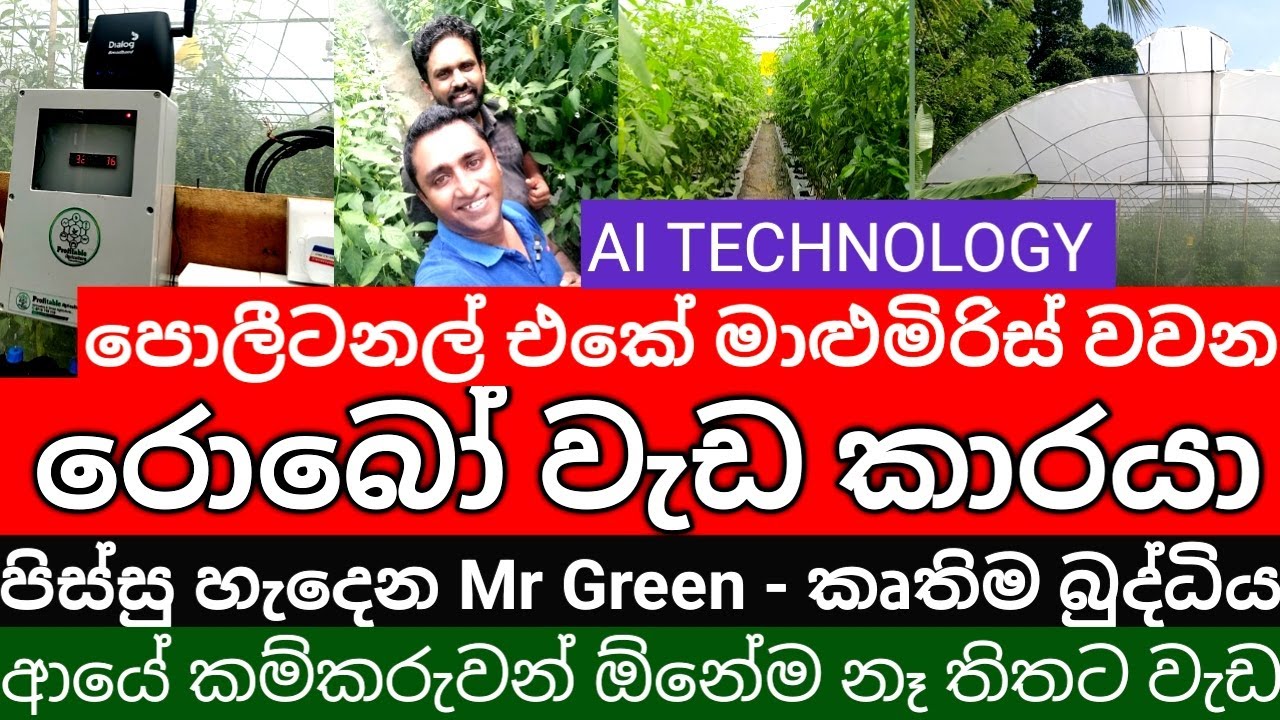 Fully Automated Muriya F1 Greenhouse with AI Technology Polytunnel Automation in Sri Lanka