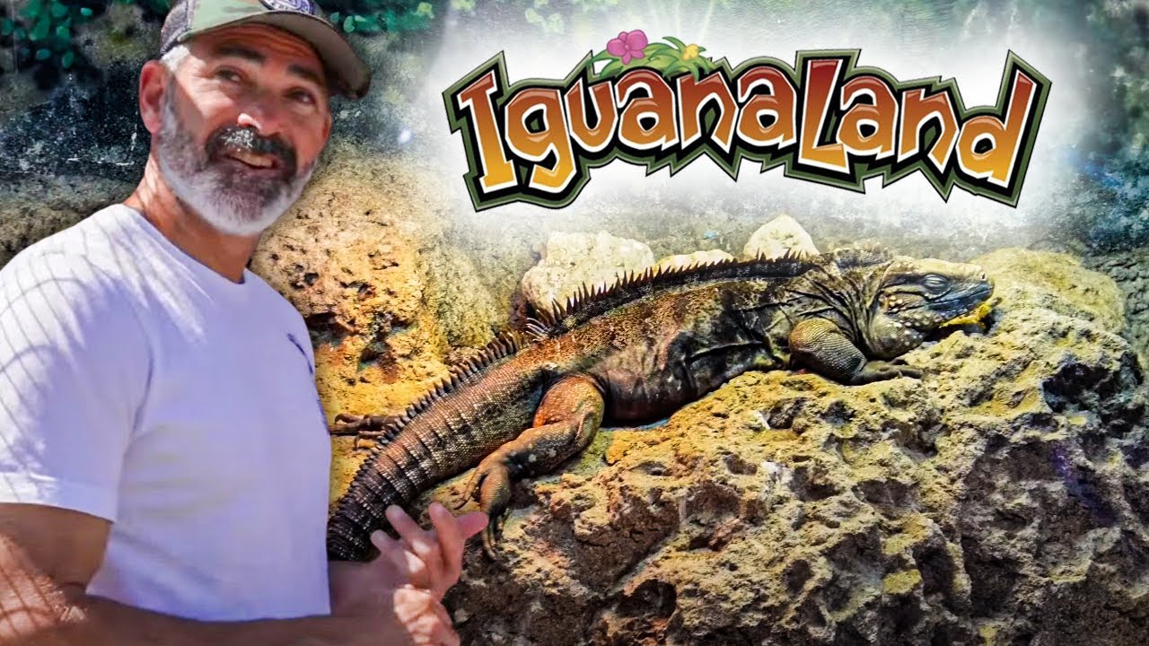 PART 2 Amazing Tortoises, Turtles, Monitors and Iguanas! Visiting IguanaLand!!