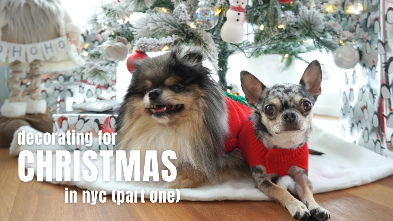 Christmas in NYC: Decorating our NYC Apartment with Our Dogs (Part One) | Life in NYC