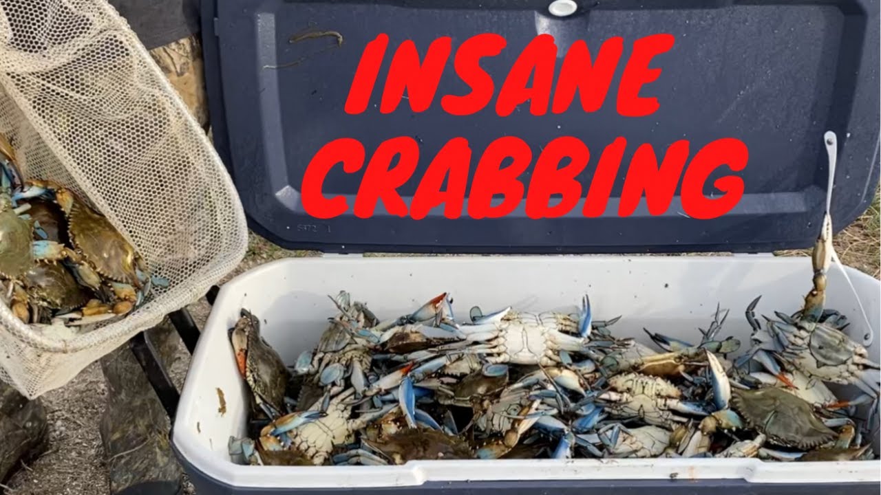Insane Crabbing Trip Using Hand Lines  (Catch*Clean*Cook) Crab & Shrimp Stew With Fried Shrimp