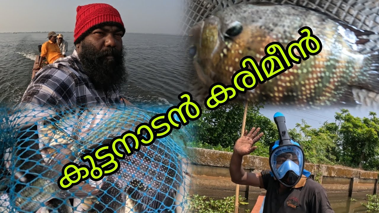 കുട്ടനാടൻ കരിമീൻ | FISHINGVLOG | #realfishing #reallife
