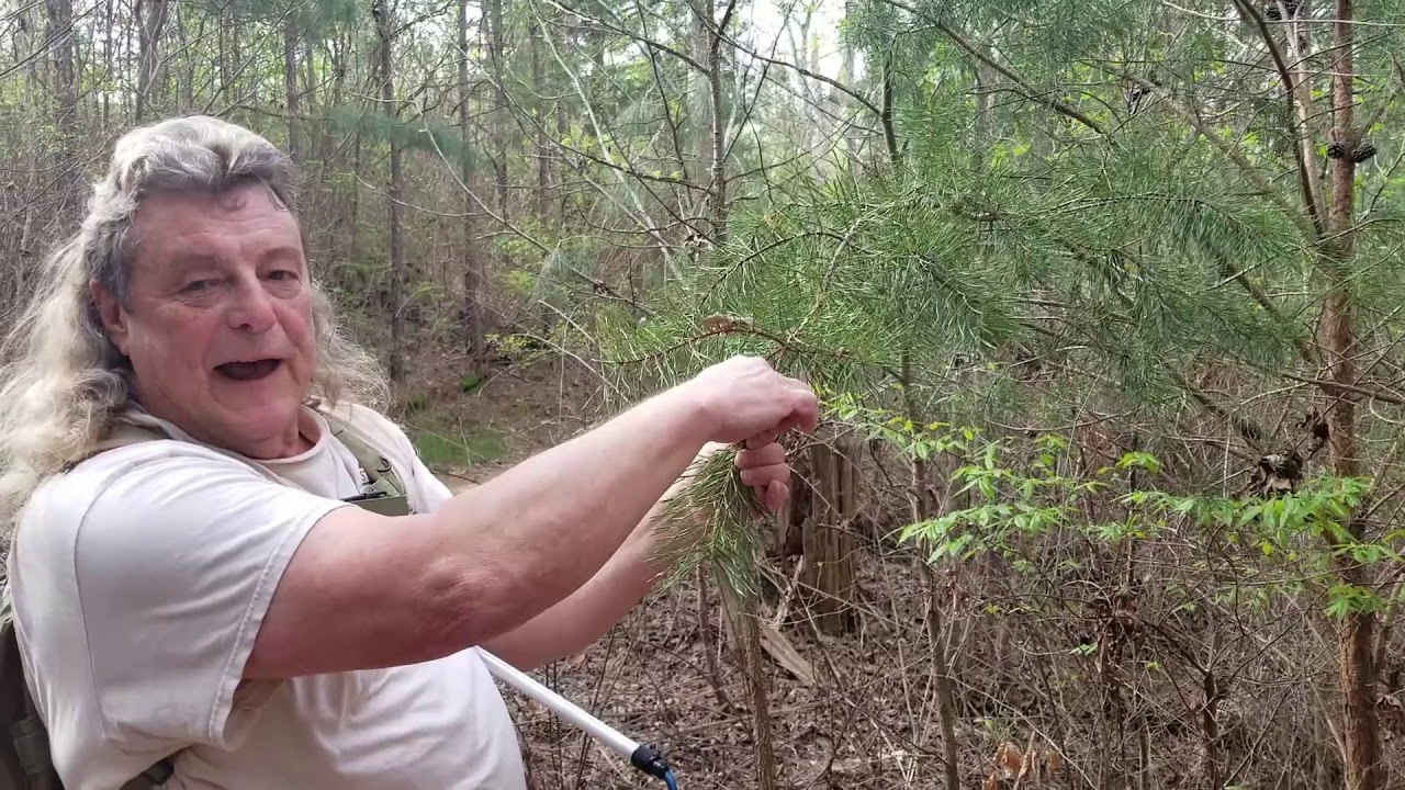 Lake Guntersville State Park: Virtual Hike of Butler's Pass