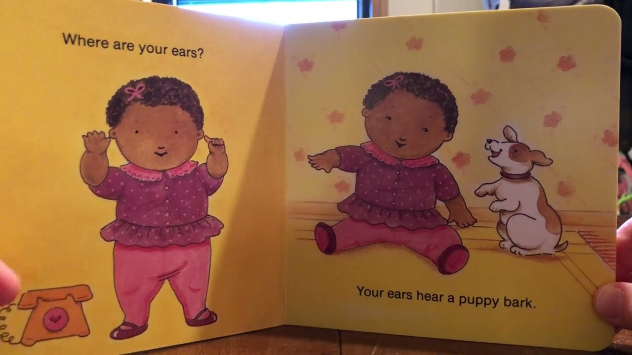 Where is Your Nose?