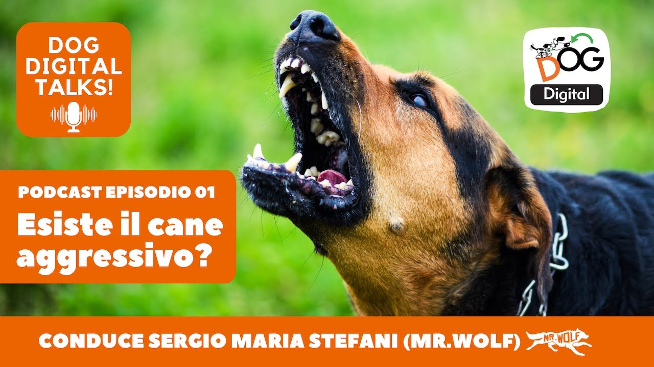 Cani aggressivi: verità o etichetta? | Comprendere il comportamento canino | Dog Digital Talks Ep.1